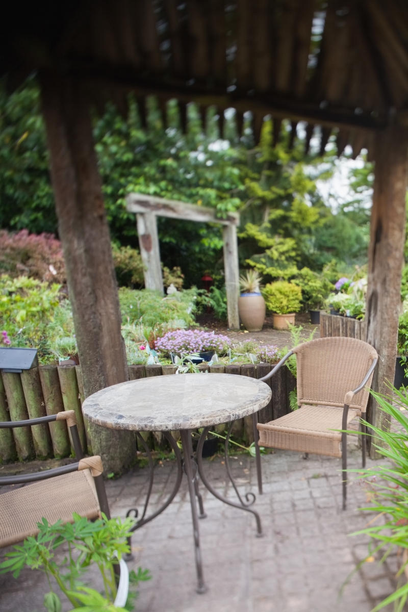 3929652-garden-with-furniture